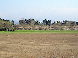 [八雲町スポーツ公園多目的広場]