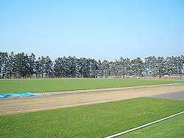 [八雲町スポーツ公園]
