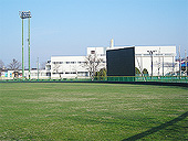 [八雲町運動公園野球場]